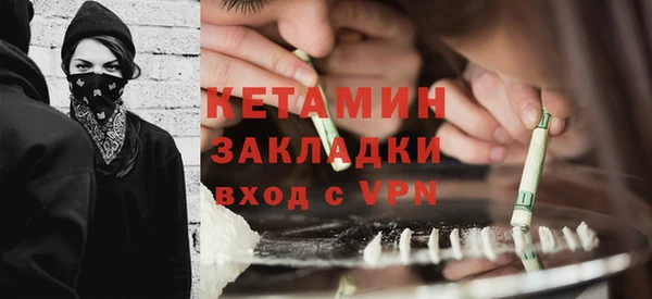 сатива Дмитриев