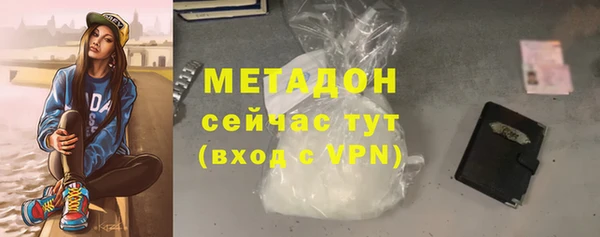 прущие грибы Дмитров