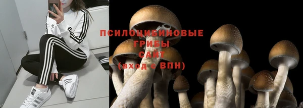 мет Елабуга