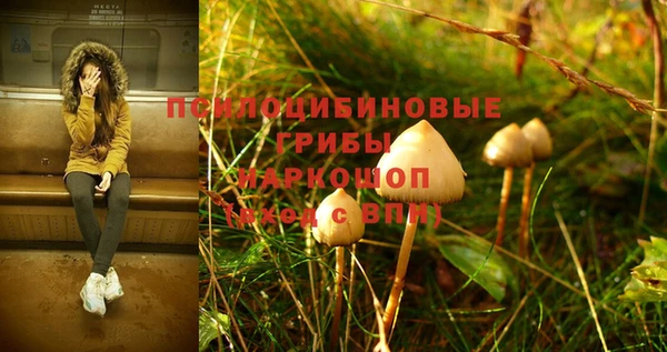 тгк Елизово