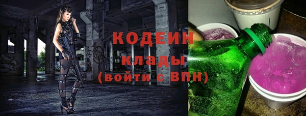 мет Елабуга