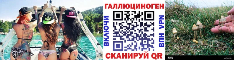 Галлюциногенные грибы Cubensis  Купить  Камышин 